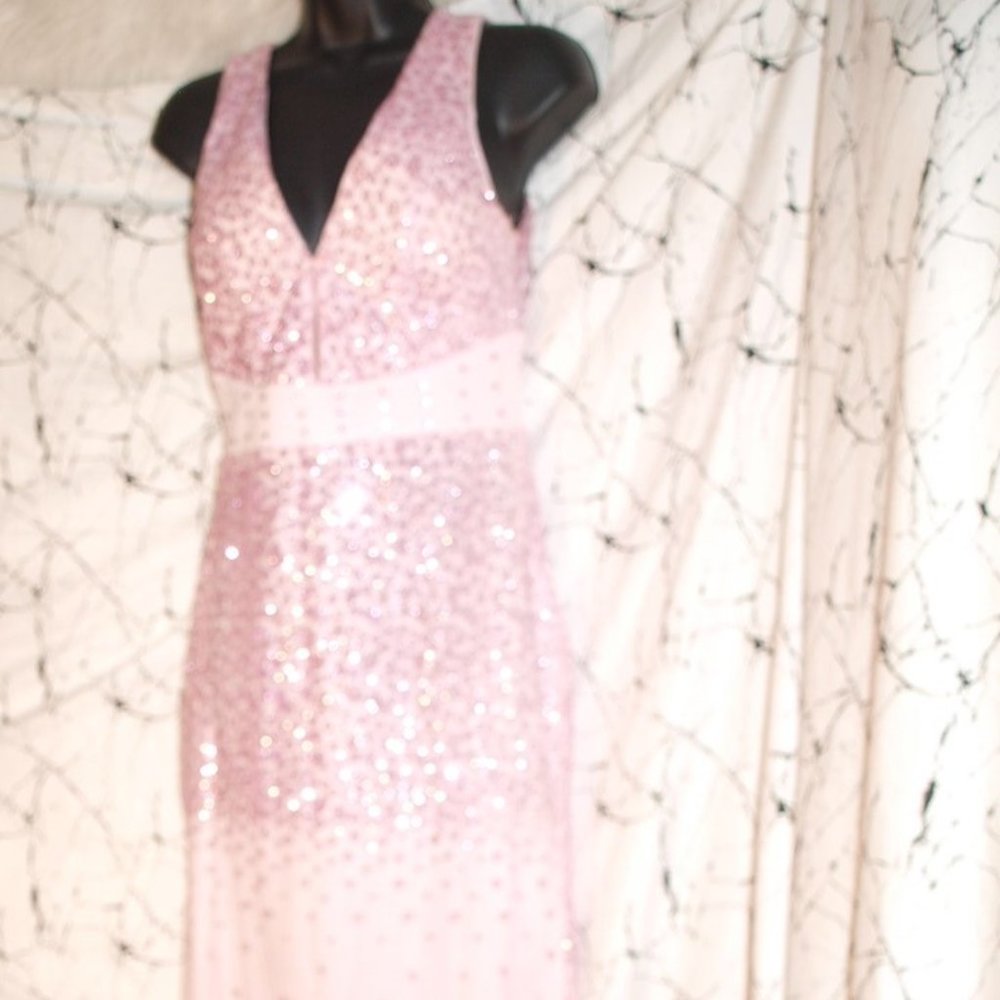 Long Pink DRESS SIZE S USED FOR PHOTO SHOOT